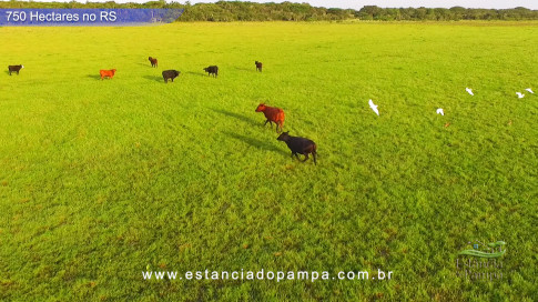 Os Tiranos - Bailando o chamamé [VDownloader].00_03_51_13.Quadro028_e5778ff2fb8fa8d8b87c40bba84f5d13dc32a2a2.jpg